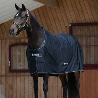 Bucas Shamrock Power